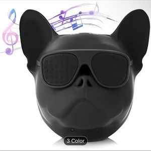 Wireless dog speaker